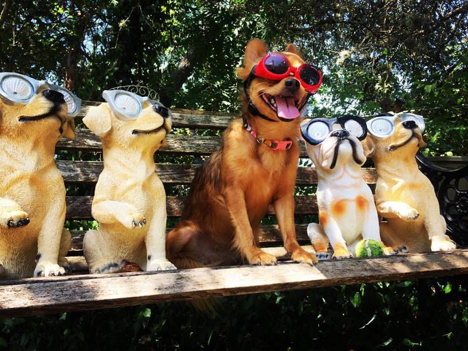 lupe & figurines img